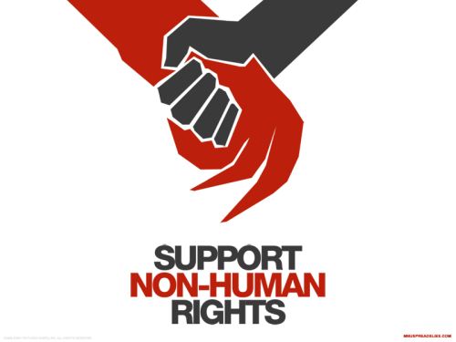 support_nonhuman